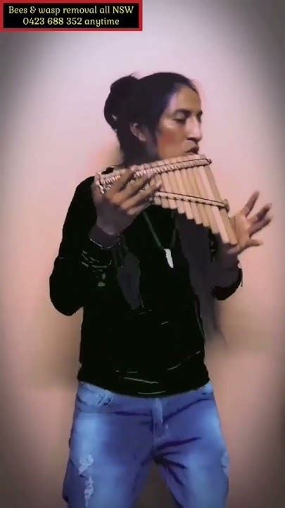 beto salazar|Enchanting Pan Flute Performance by the Lake .
